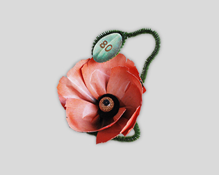 Tischkarte Mohn1